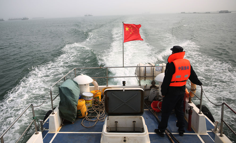 Unos 400 barcos chinos lideran pesca ilegal en el Atlántico sur