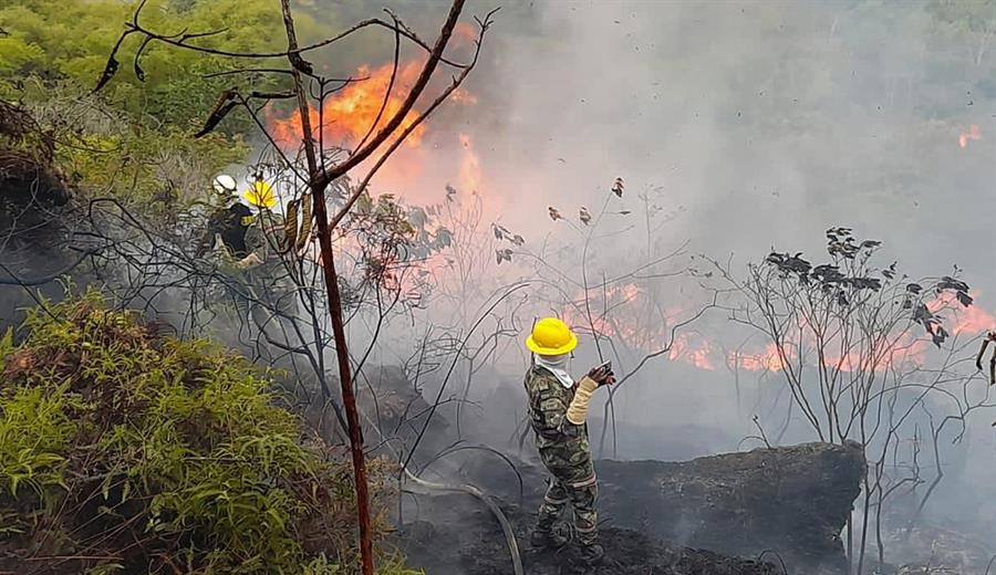 Colombia en llamas, 31 incendios forestales arrasan el país