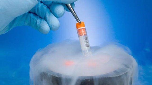 "Embriones congelados son niños", según fallo del Tribunal de Alabama