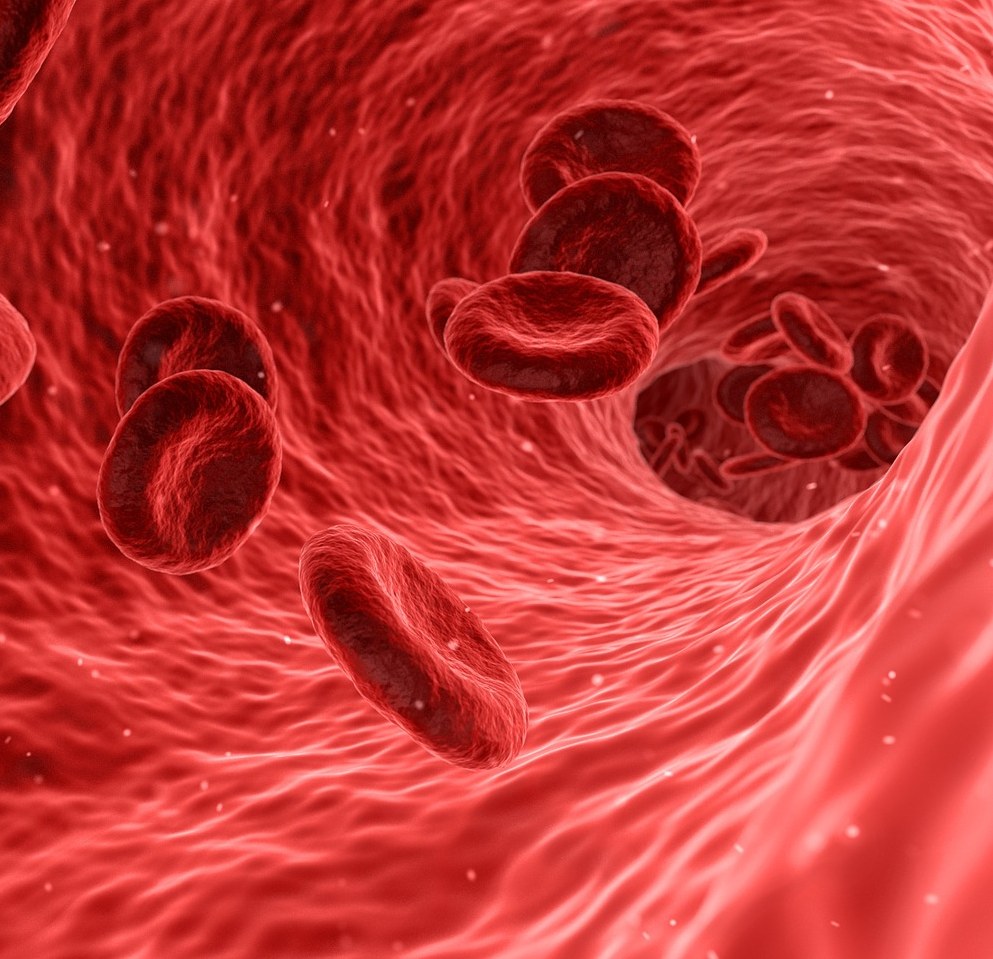 Científicos desarrollan el primer mapa de calor de un glóbulo rojo en la sangre
