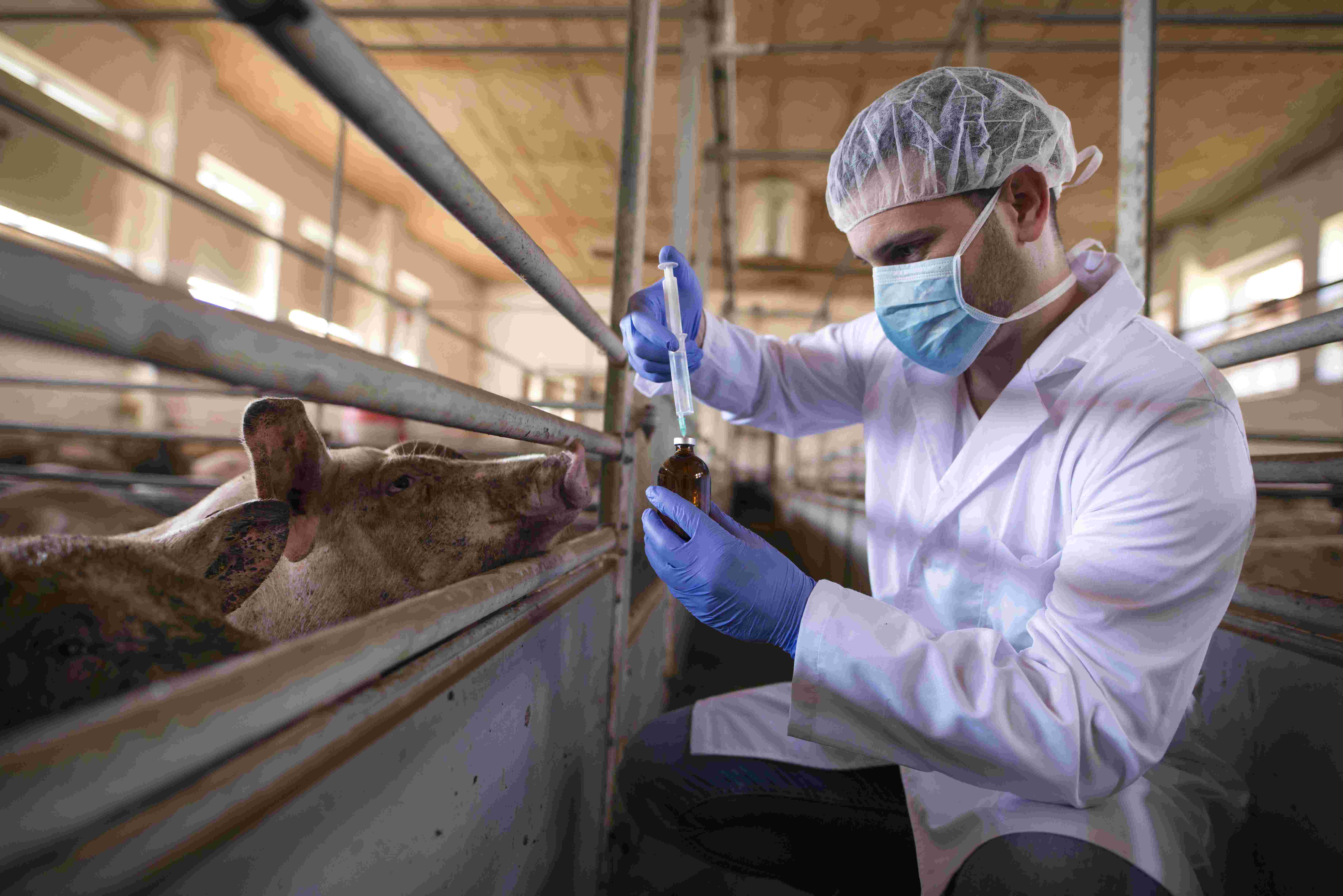 Panamá se suma a la lucha para prevenir enfermedades  zoonóticas