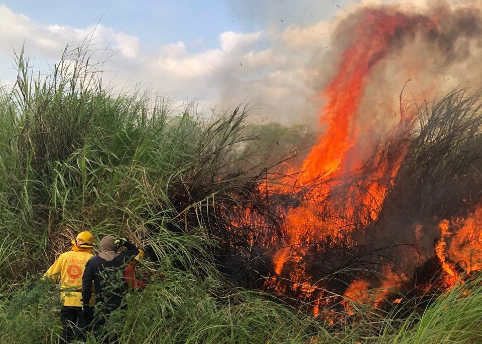 Incendios de masa vegetal podrían incrementarse, advierte Instituto de Meteorología   