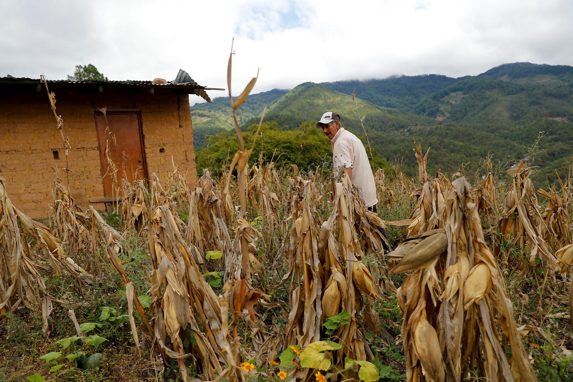 Colombia ingresa por primera vez a lista de inseguridad alimentaria