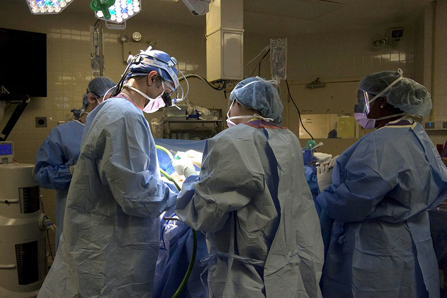 Fallece el paciente que recibió el primer trasplante de riñón de cerdo