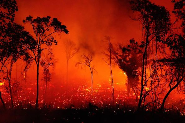 Imágenes ”desoladoras” del fuego que consume el Pantanal en Brasil