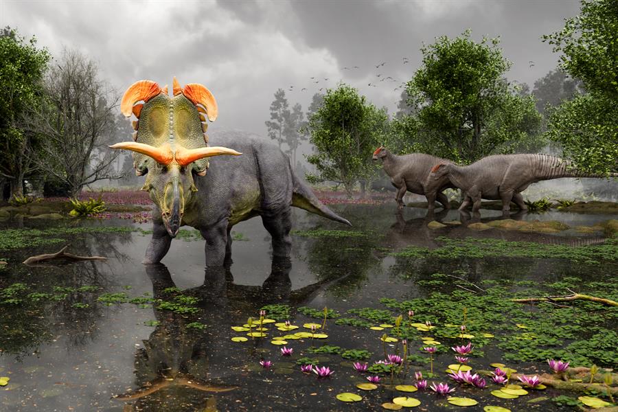 Descubren en EE UU nueva especie de dinosaurio herbívoro con cuernos gigantes
