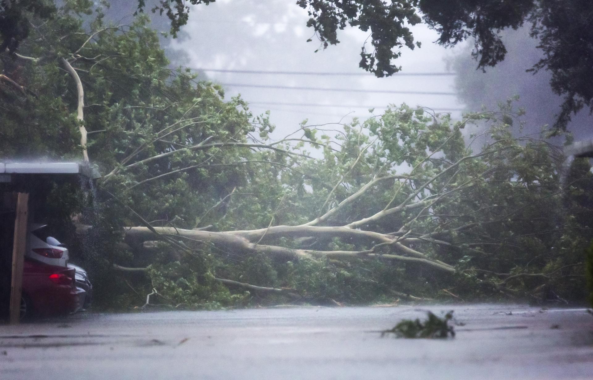 Biden declara Texas zona de desastre tras paso de huracán Beryl