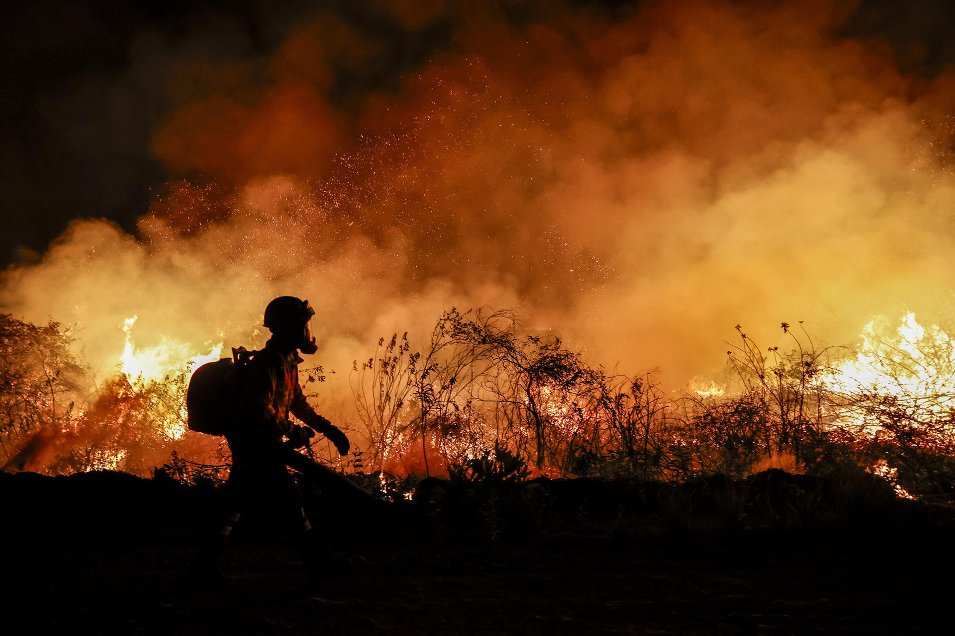 Brasil extingue la mitad de los incendios en el Pantanal