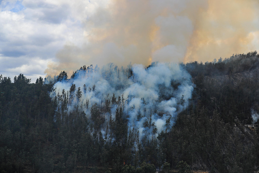 Amazónia pierde espacio de bosques semejante al tamaño del territorio de Colombia