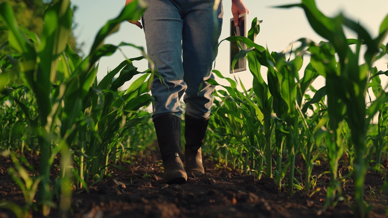 Cámara de Comercio exige investigar asignación de subsidios y recursos al agro