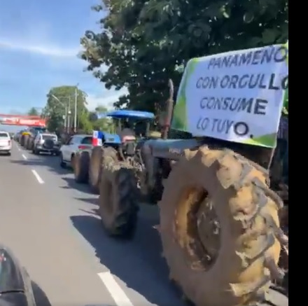 Productores realizan caravana en defensa del arroz panameño