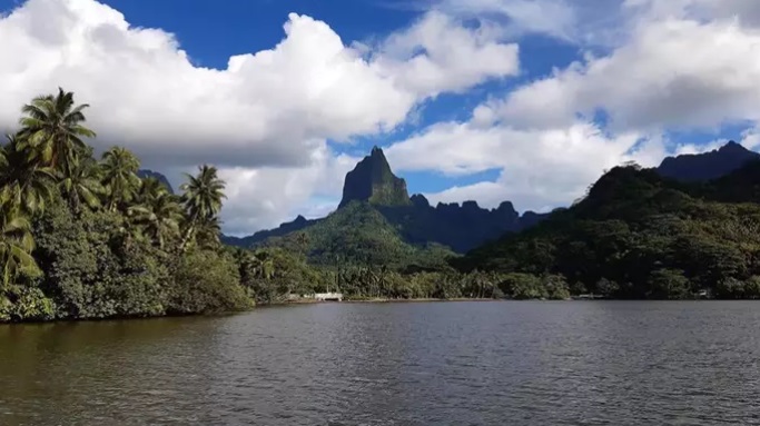 Más del 30% de plantas vive en islas, que ocupan el 5% de la superficie terrestre