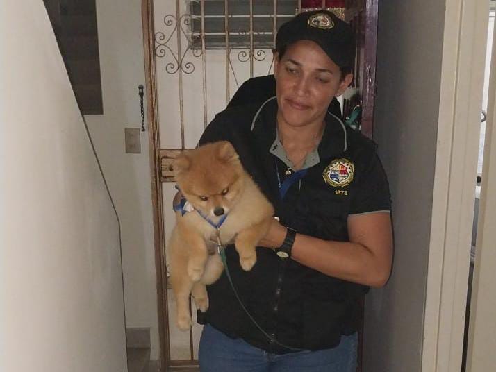 Policía captura a dos colombianas por secuestrar a un perro en Bella Vista