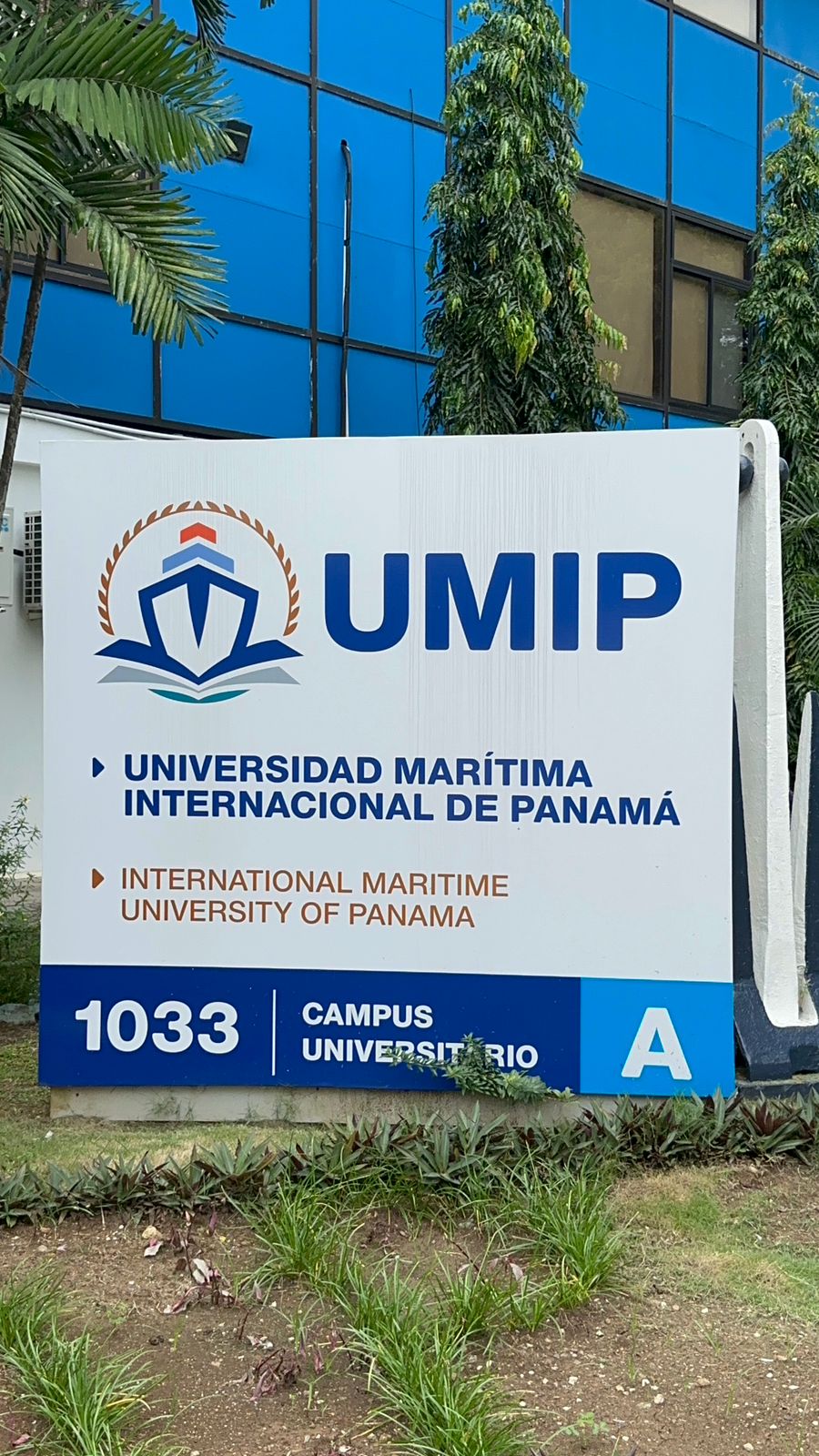 Querellan penalmente a miembros del Comité Electoral de la UMIP