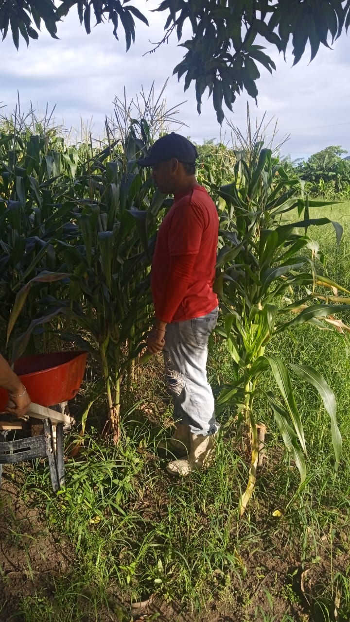 El campo como ruta a la resocialización de reclusos