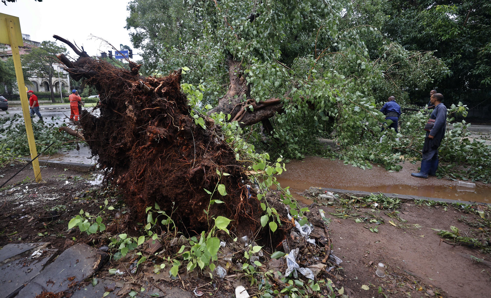 Cuba pronostica lluvias en las regiones afectadas por huracán Rafael