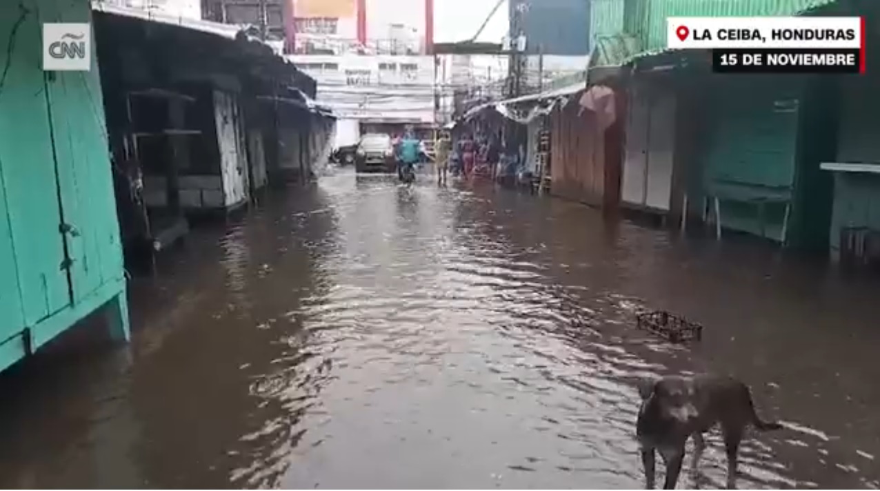 Tormenta Sara deja un muerto y más de 47.000 afectados tras su paso por Honduras