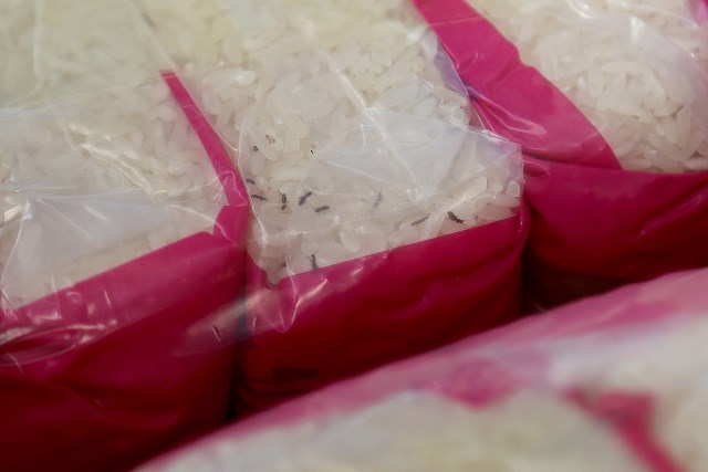 Arroz retenido procedente de China venía contaminado con gorgojos