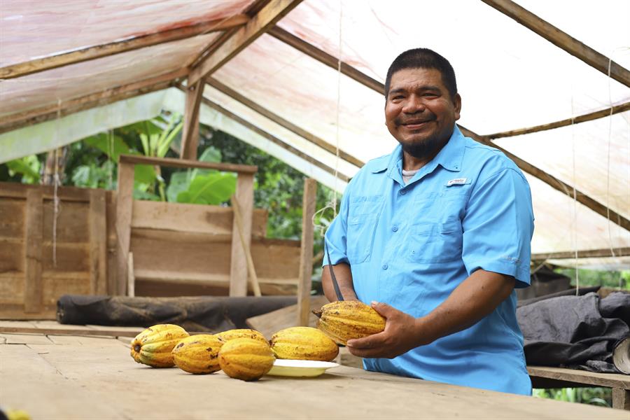 Blandford, el indígena Ngäbe-Buglé que lleva su cacao orgánico a España