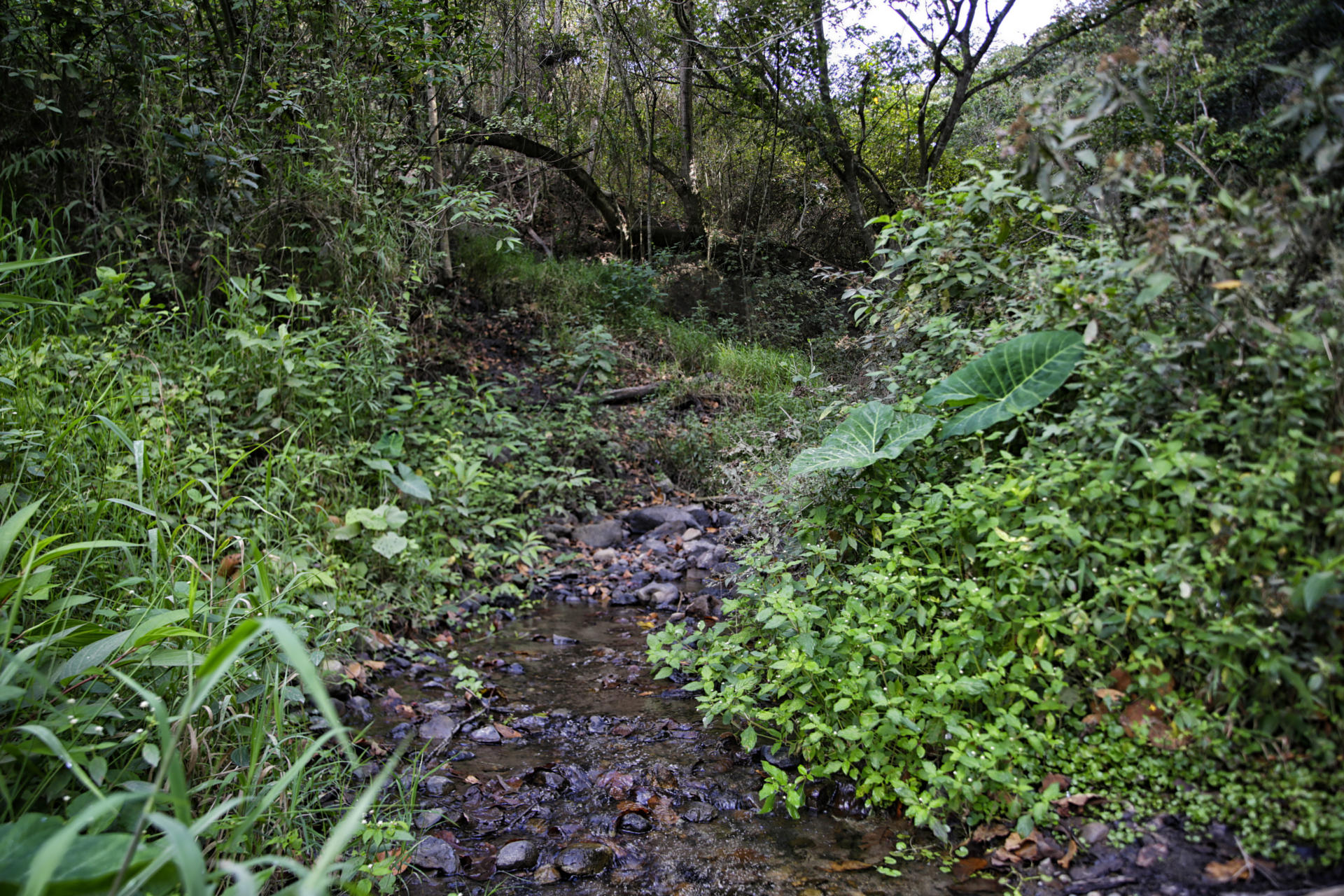 Contaminación y acceso al agua, retos de Centroamérica en materia hídrica