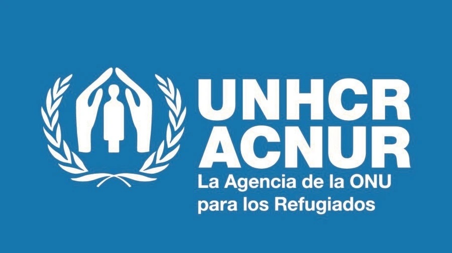 Acnur teme que 427 rohinyás perecieron en naufragio en costa birmana