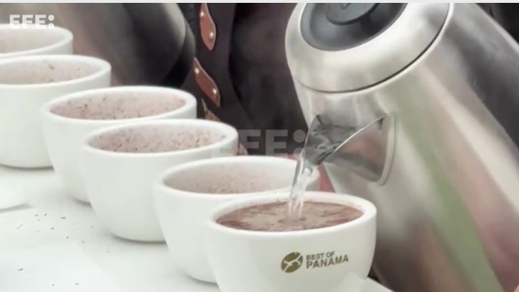 Café Geisha panameño marca otro récord al venderse un kilo por más de $30,000