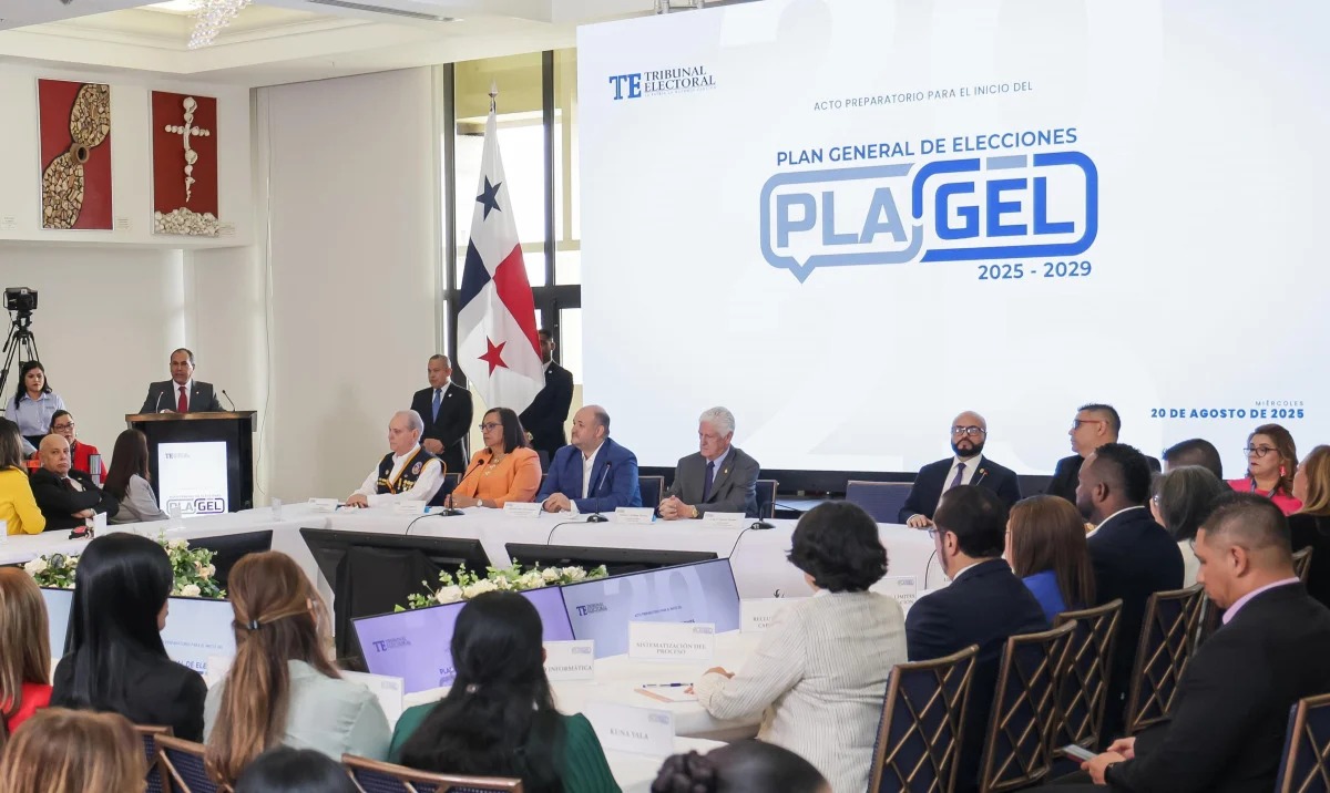 Tribunal Electoral inicia planificación de elecciones del 2029