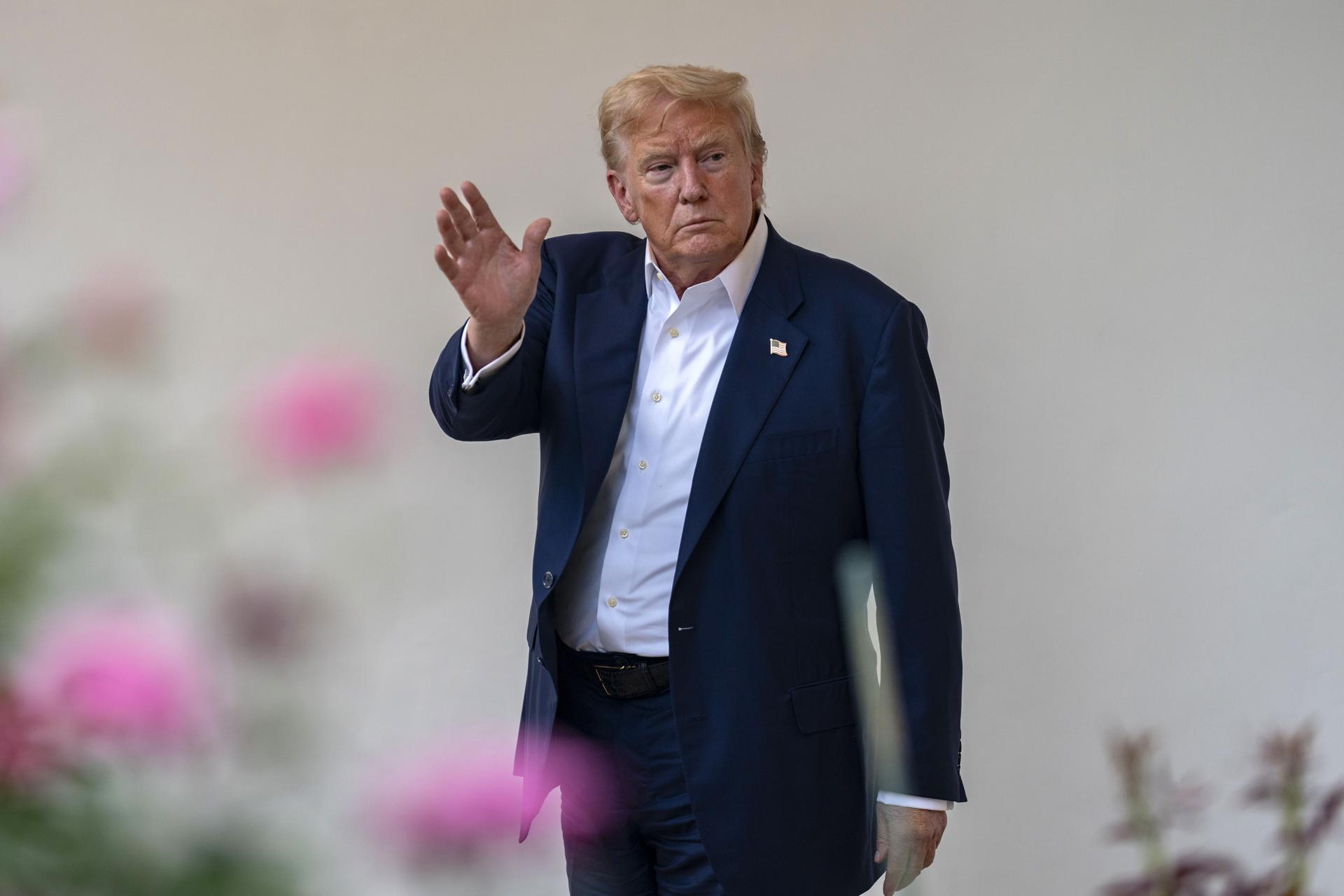 Trump busca reunirse con Putin la próxima semana para mediar el fin de la guerra en Ucrania