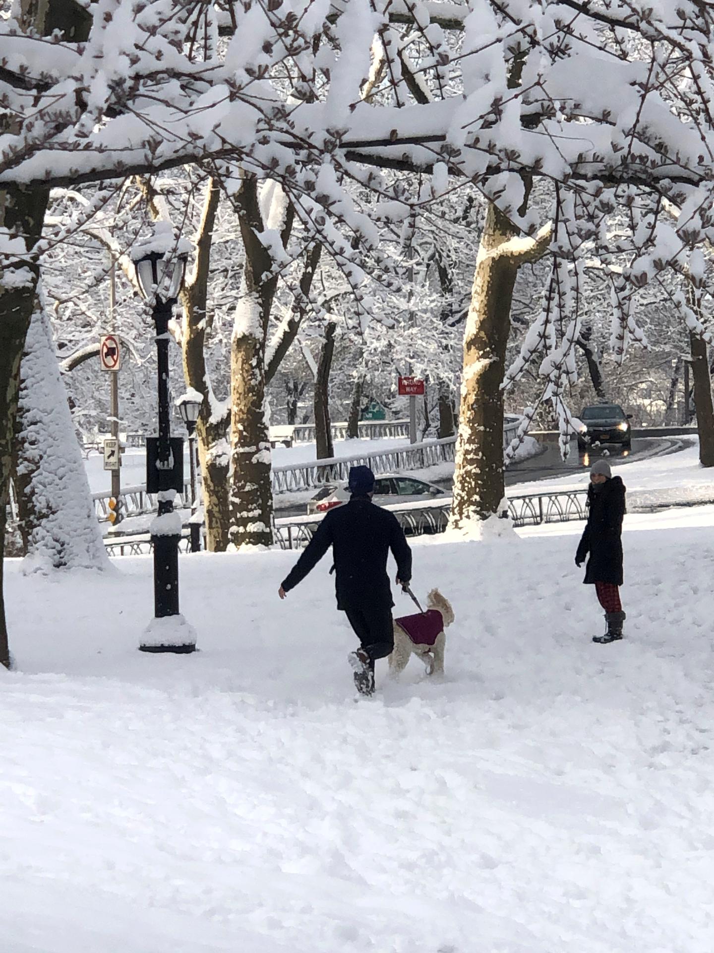 Las ciudades más caminables impulsan la salud