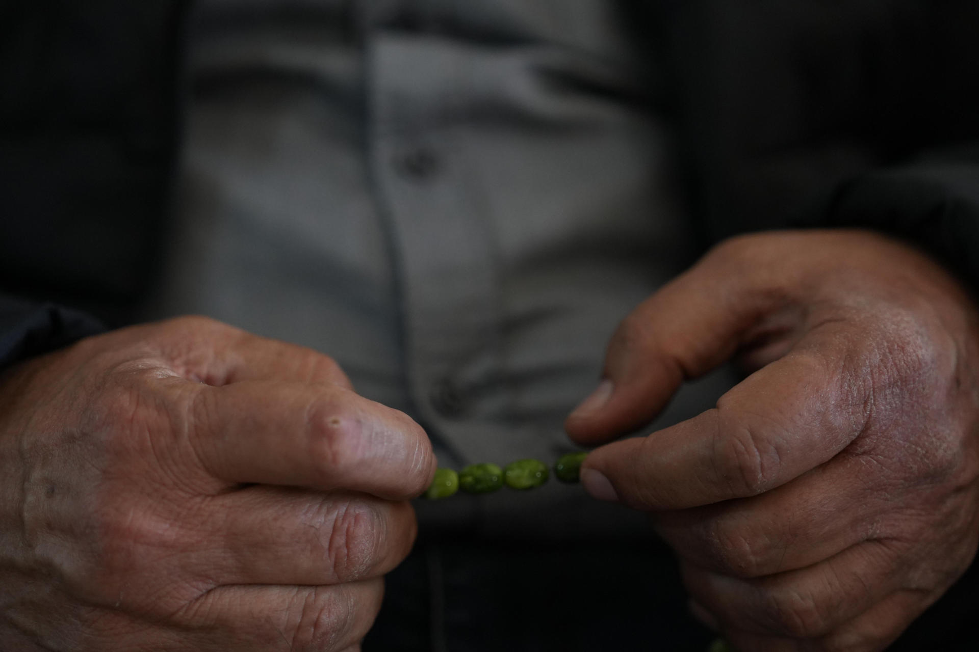 Identifican una hormona natural que protege a las neuronas del daño del párkinson