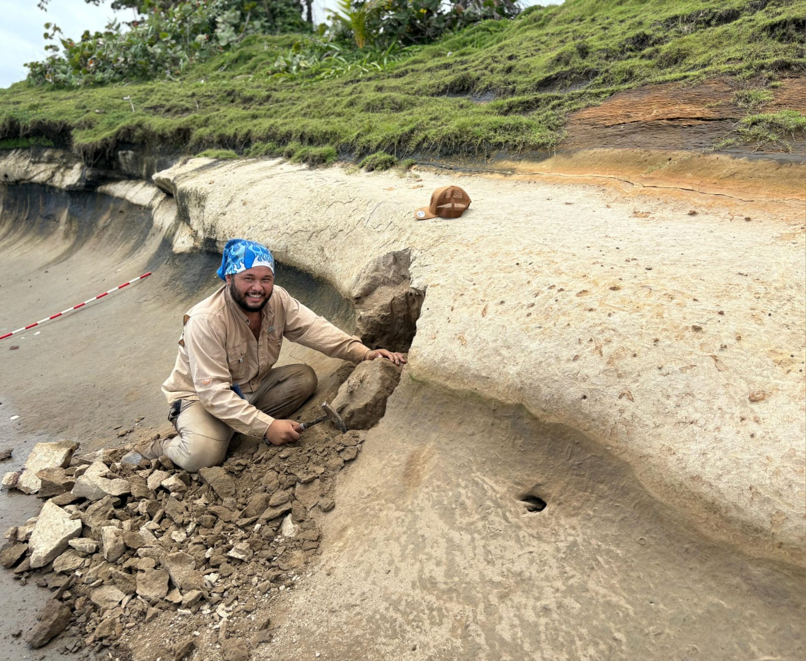 Docente de la Universidad de Panamá descubre en Colón fósil de 6 millones de años