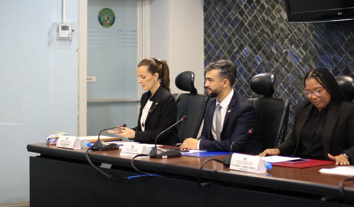 Comisión de Gobierno prohijó ley "antibotellas" y pasa a primer debate