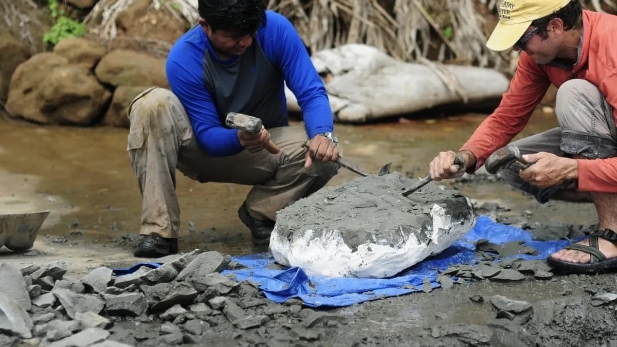 Descubren fósil de seis millones de años en Colón