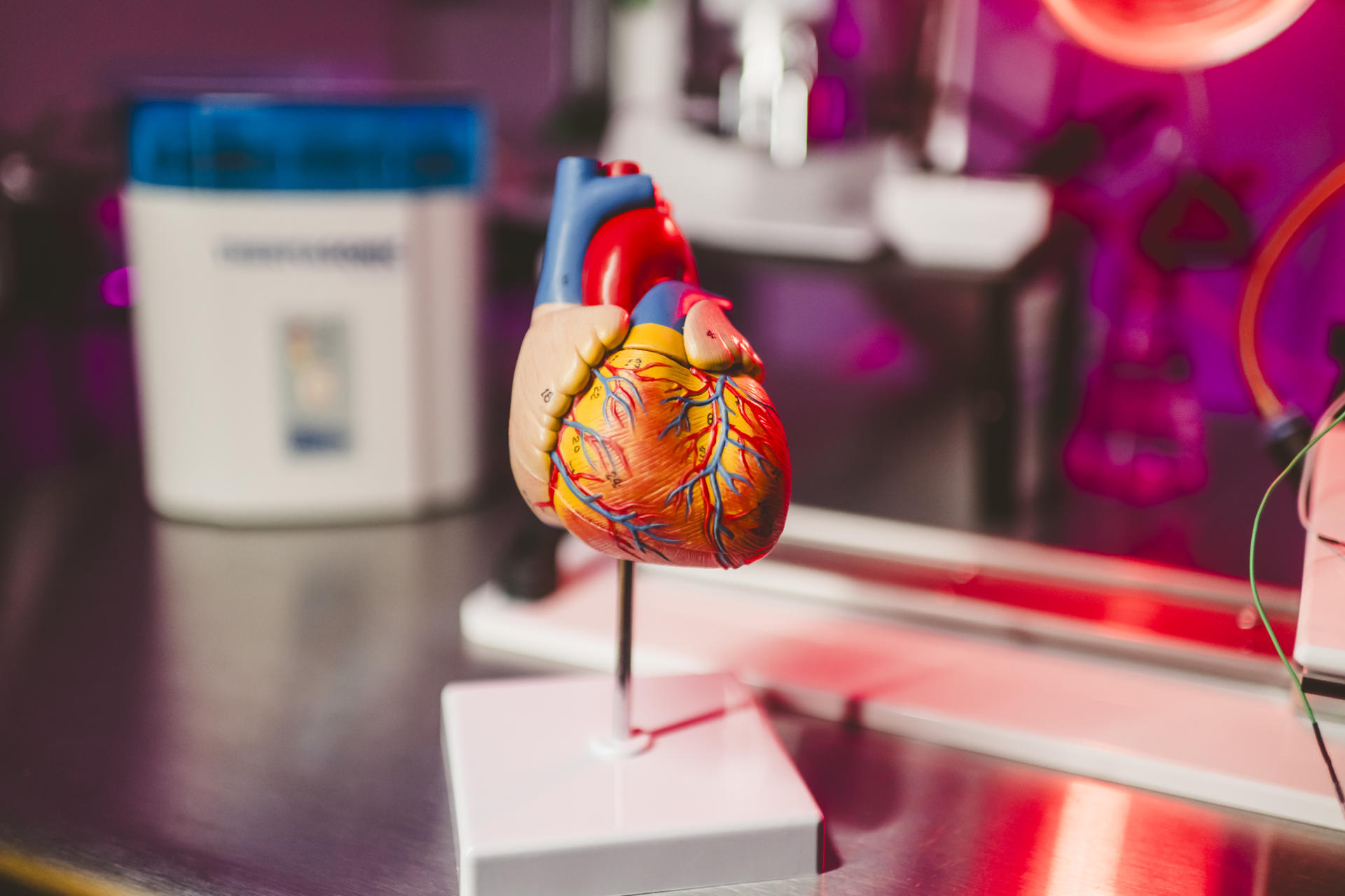 Científicos de EE UU crean una IA que busca prevenir infartos oyendo los latidos