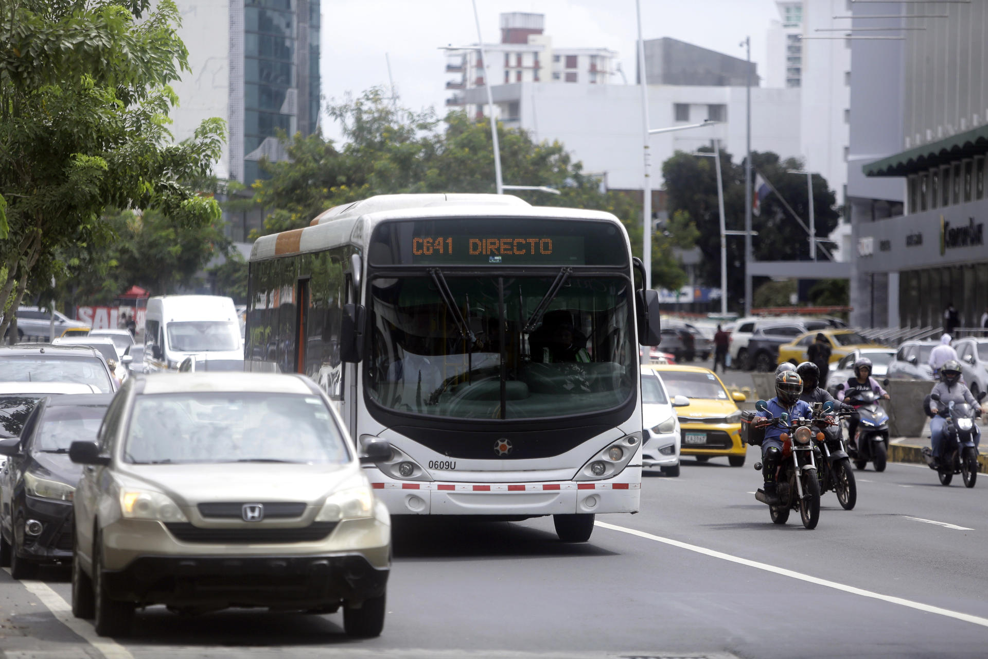 MiBus licita compra de 60 autobuses medianos por $9.6 millones