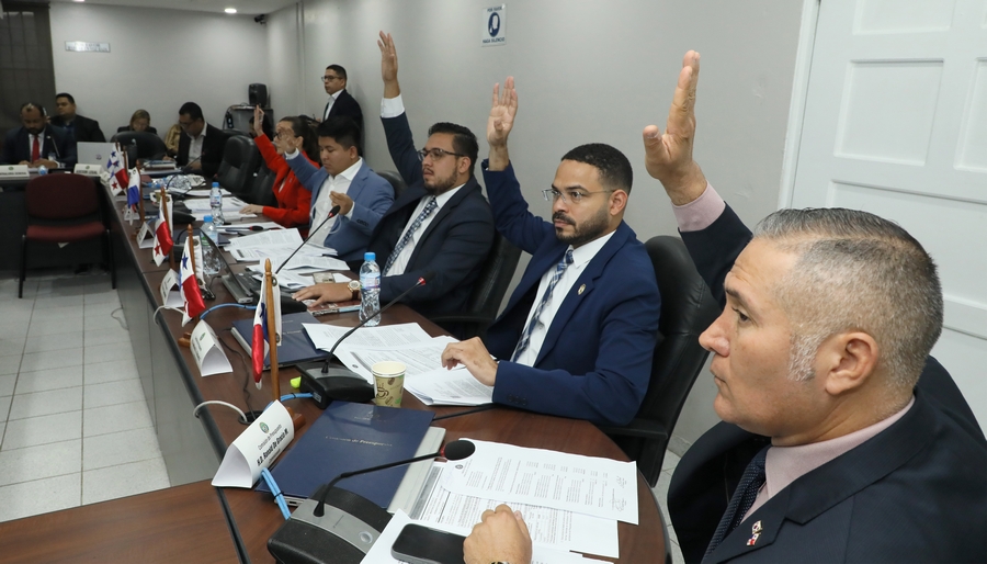 Diputados piden casi $100 millones más para universidades en el presupuesto 2026