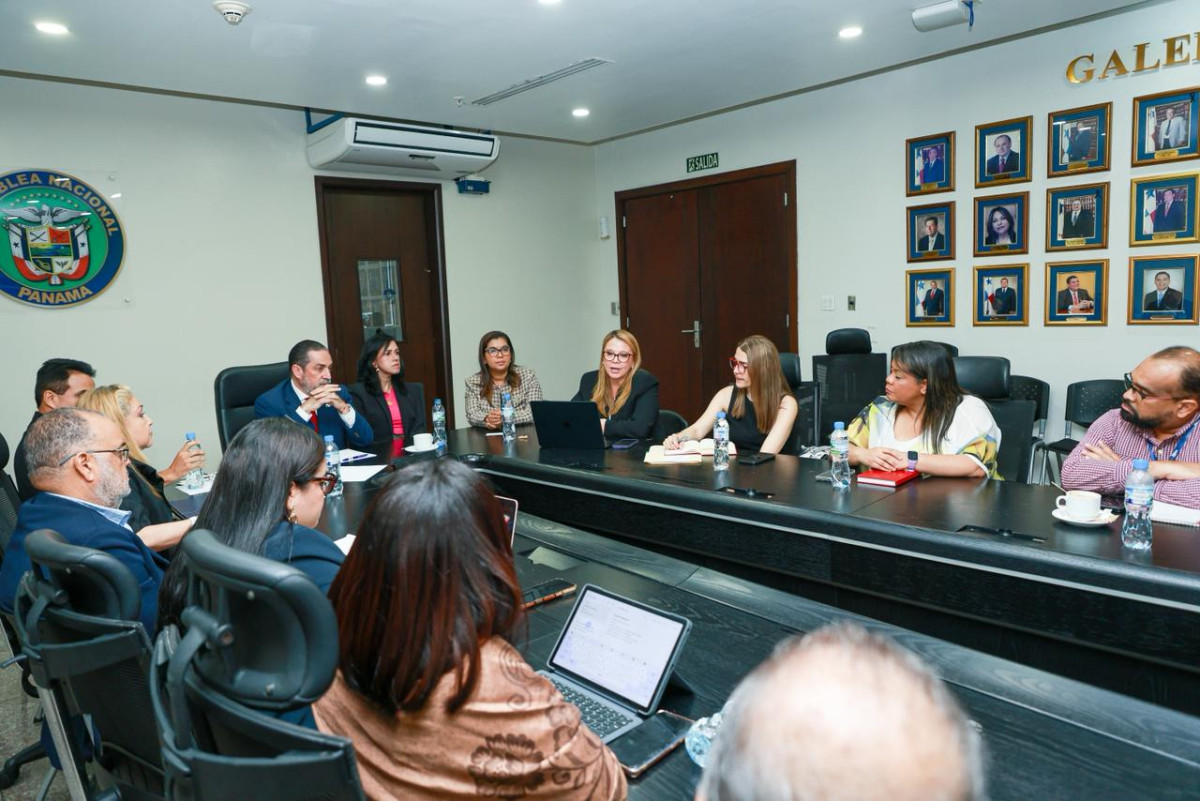 MICI presenta a técnicos los beneficios del Acuerdo Marco con el MERCOSUR