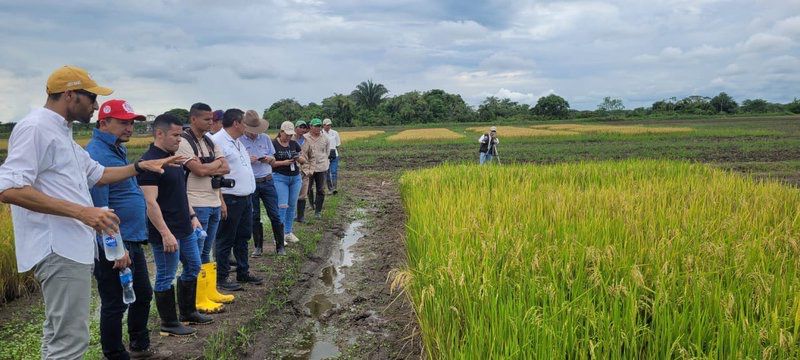 Panamá y Colombia firman convenio para modernizar la producción de arroz