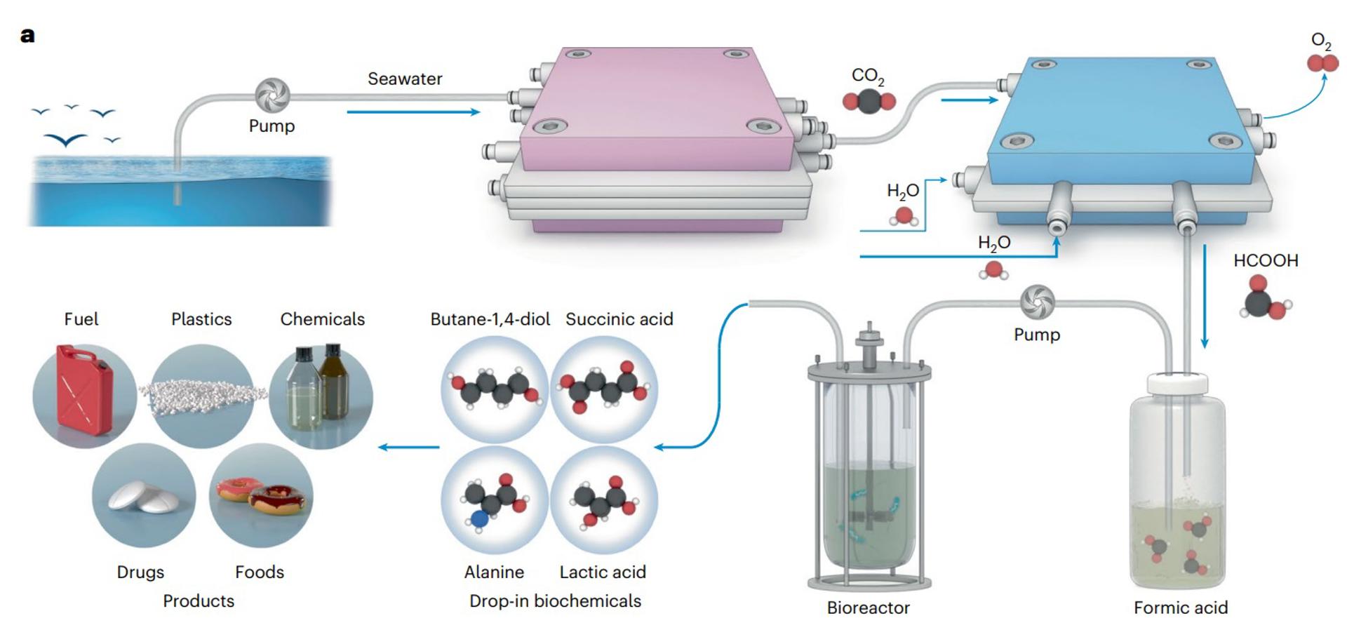 Científicos chinos logran transformar CO₂ del agua de mar en plásticos biodegradables