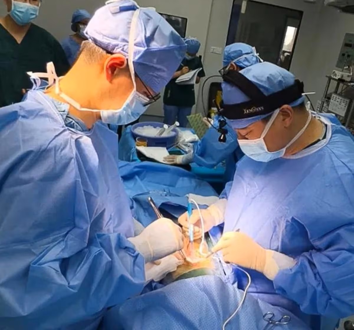 Trasplantan por primera vez a una persona viva un hígado de cerdo modificado genéticamente