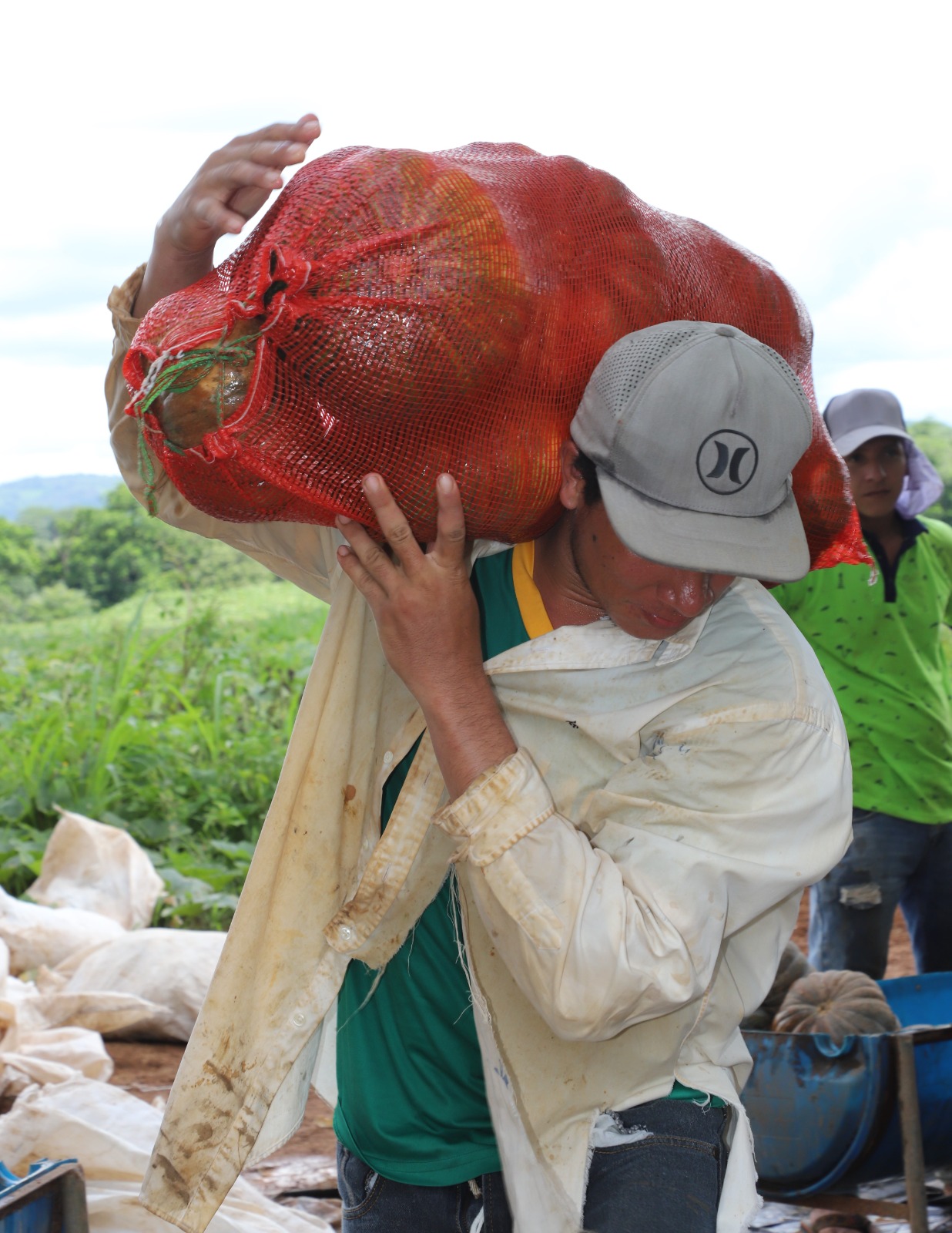 El agro aportó $88 millones a la economía del país con una producción "histórica"