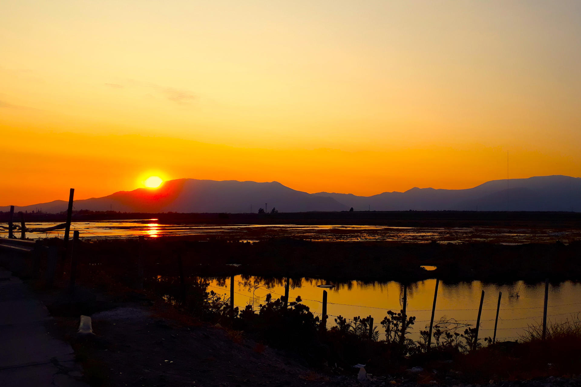 Quilicura, el polo chileno de los centros de datos que lucha por mantener vivo su humedal