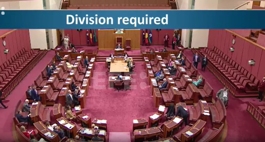 Suspenden siete días a una senadora australiana por irrumpir en el Parlamento con un burka