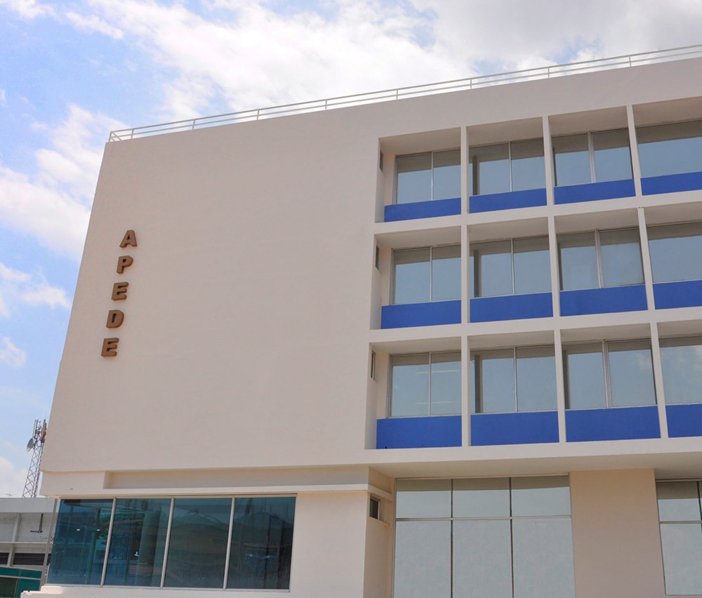 APEDE advierte sobre moderación del crecimiento económico y llama a decisiones estratégicas