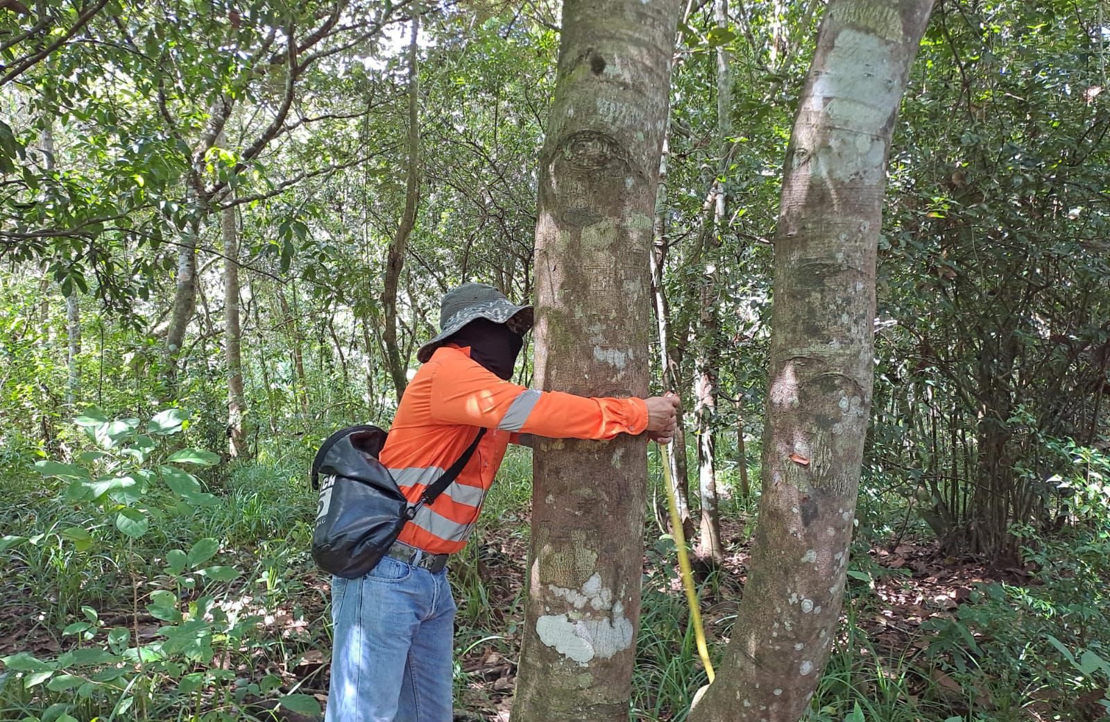 Panamá avanza en su proyecto ferroviario con el inicio del Estudio de Impacto Ambiental
