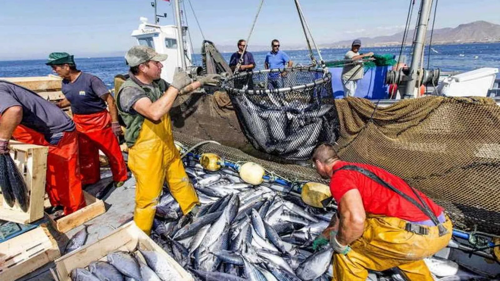 Gobierno rechaza declaraciones sobre supuesta inacción contra la pesca ilegal