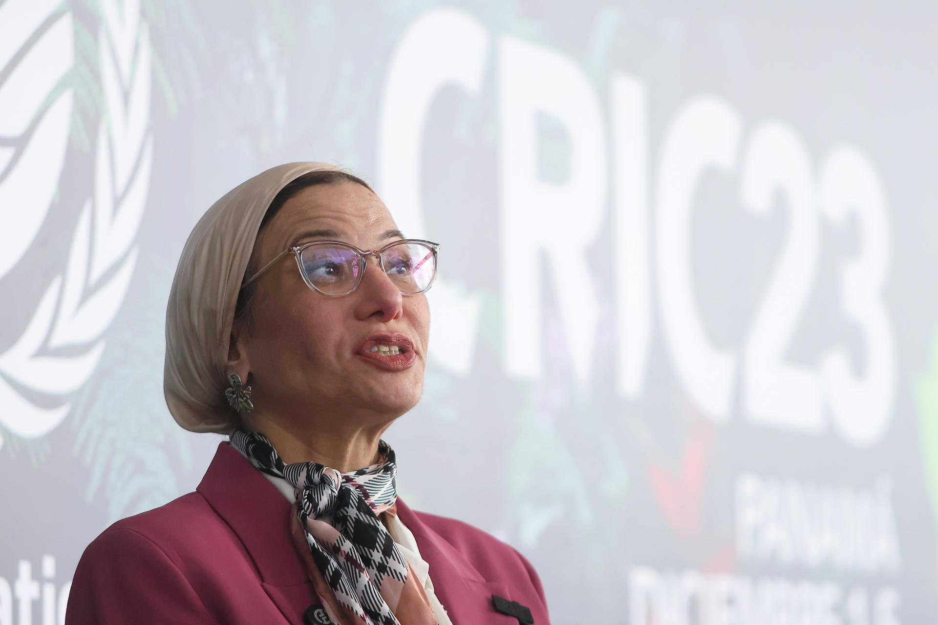 La ONU alerta sobre la desertificación y su impacto en la seguridad alimentaria