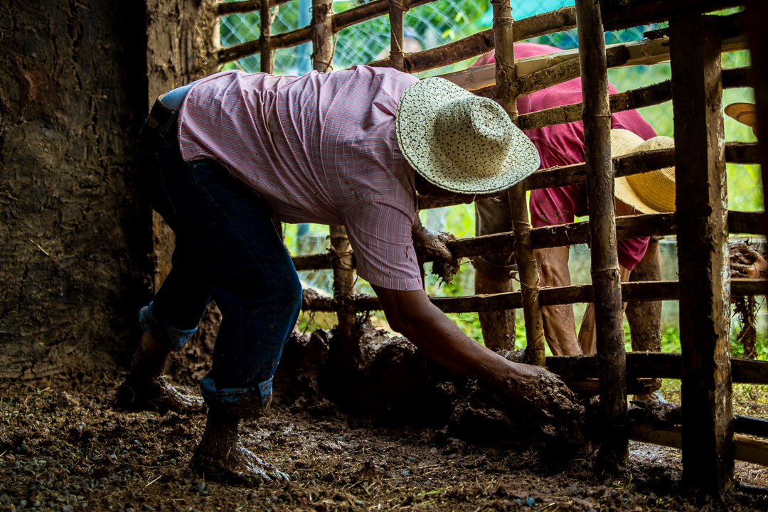 UNESCO inscribe como patrimonio en peligro las casas de quincha de Panamá