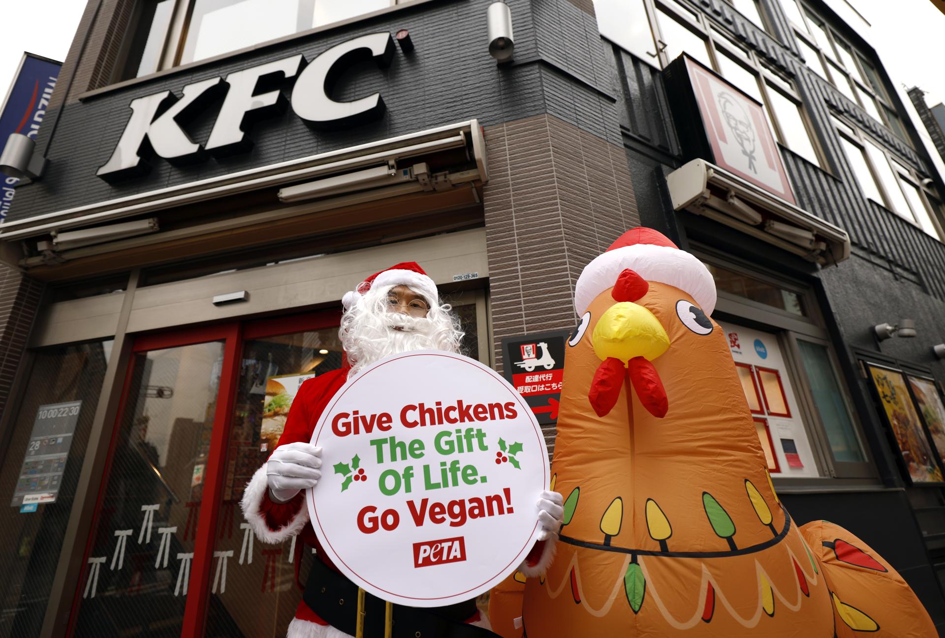 PETA denuncia maltrato en granjas de KFC en Japón donde el pollo frito reina en navidad
