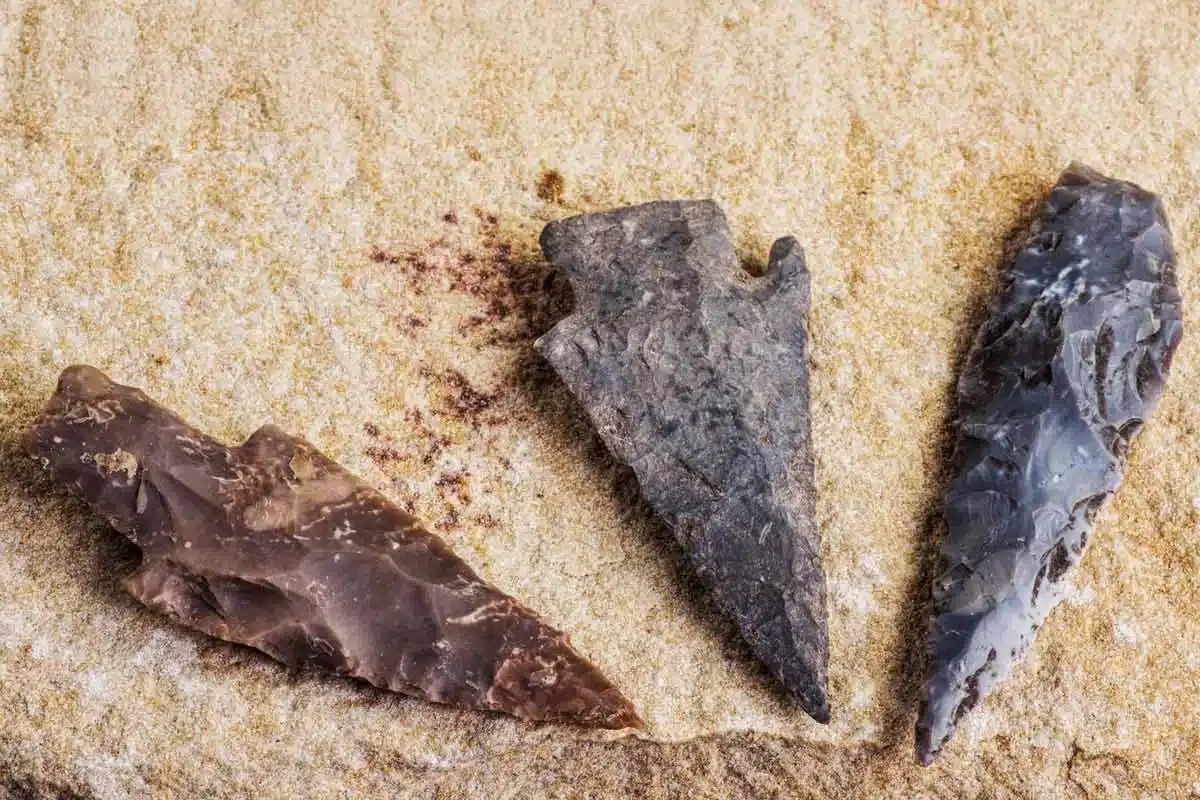 Flechas envenenadas de hace 60,000 años revelan caza avanzada en África